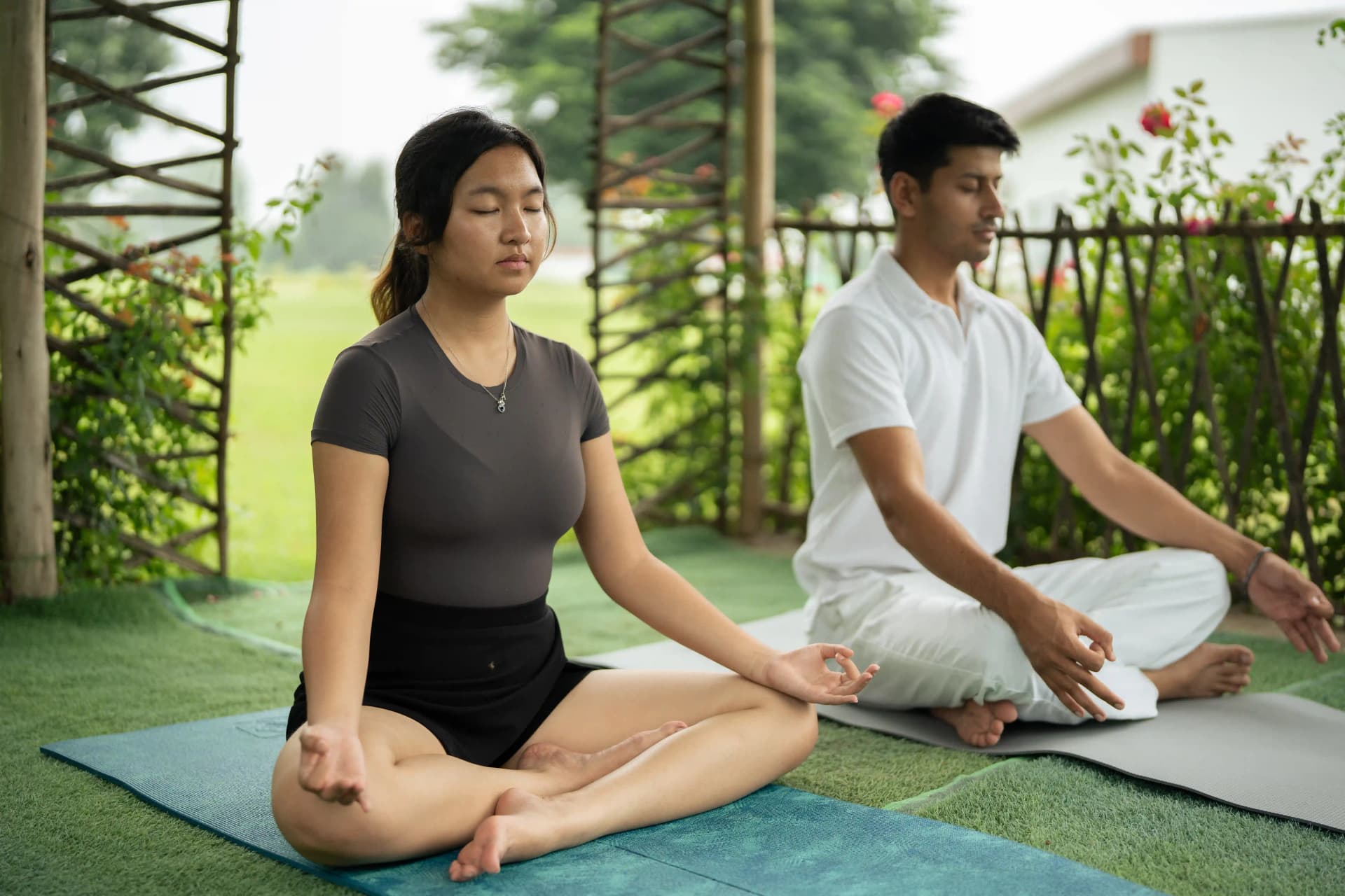 Wellness & Yoga